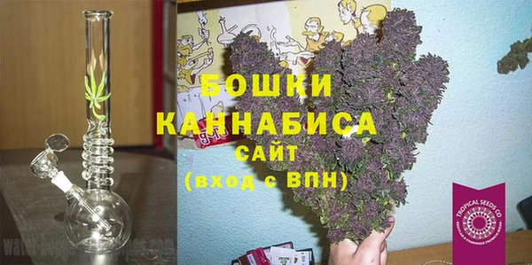 Альфа ПВП Аркадак
