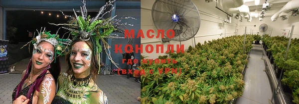 Альфа ПВП Аркадак