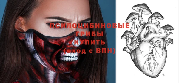 Альфа ПВП Аркадак