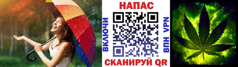 Купить где  Гулькевичи  Бошки Шишки THC 21% 